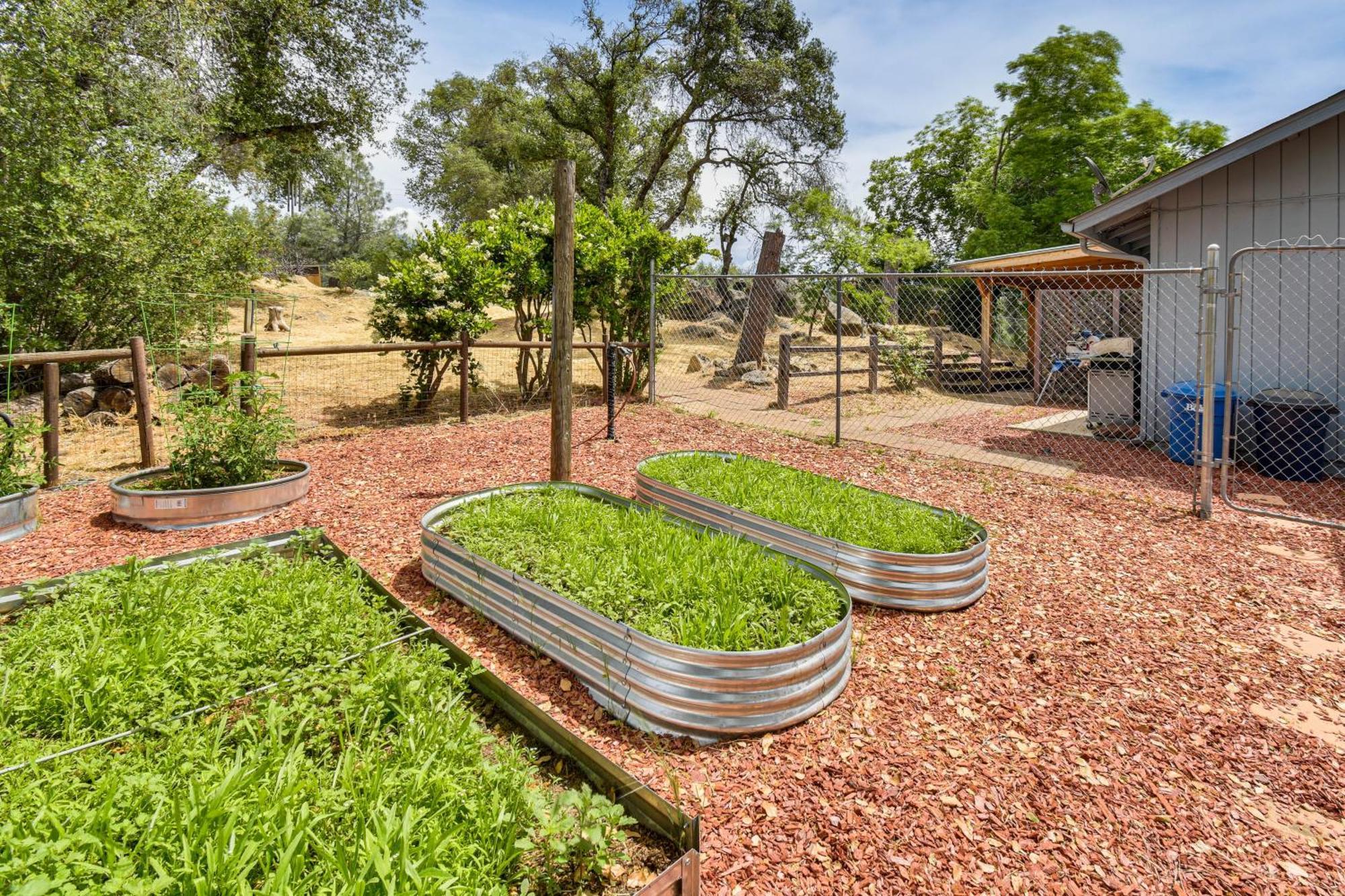 Apartamento Yosemite Wellbeing Retreat On 5 Acres With Mtn Views Ahwahnee Exterior foto